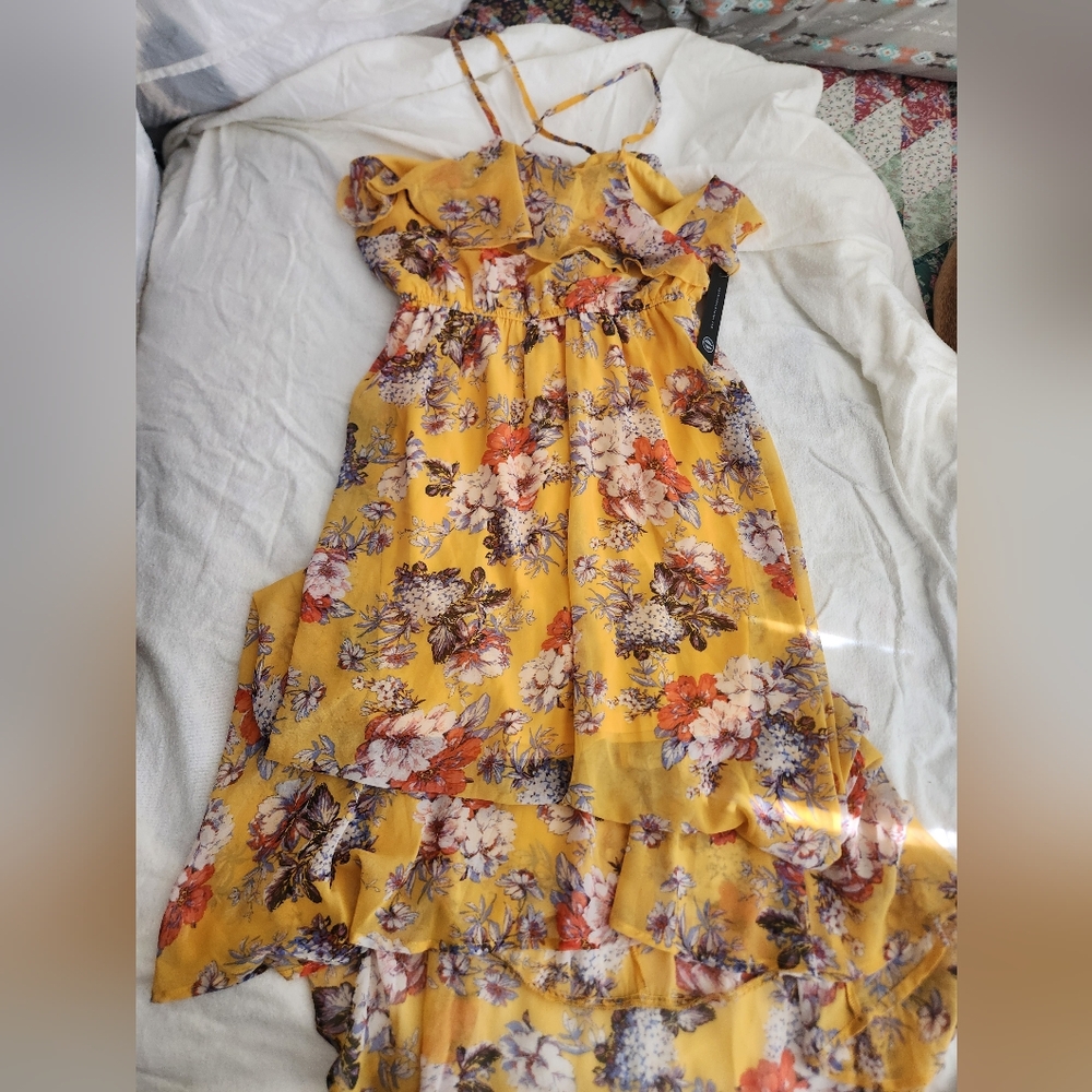 As U Wish Ruffle Hi-Lo Dress